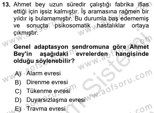 Aile Psikolojisi ve Eğitimi Dersi 2023 - 2024 Yılı (Final) Dönem Sonu Sınav Soruları 13. Soru