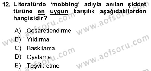 Aile Psikolojisi ve Eğitimi Dersi 2023 - 2024 Yılı Yaz Okulu Sınav Soruları 12. Soru