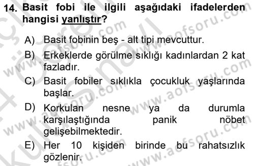 Aile Psikolojisi ve Eğitimi Dersi 2023 - 2024 Yılı Yaz Okulu Sınav Soruları 14. Soru