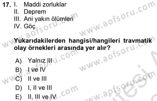 Aile Psikolojisi ve Eğitimi Dersi 2023 - 2024 Yılı Yaz Okulu Sınav Soruları 17. Soru