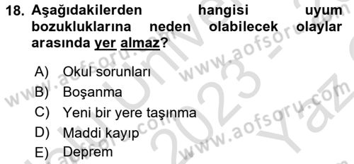 Aile Psikolojisi ve Eğitimi Dersi 2023 - 2024 Yılı Yaz Okulu Sınav Soruları 18. Soru