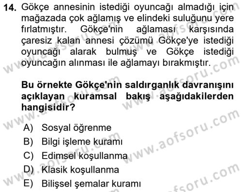 Aile Psikolojisi ve Eğitimi Dersi 2024 - 2025 Yılı (Vize) Ara Sınav Soruları 14. Soru