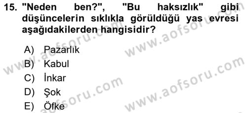 Aile Psikolojisi ve Eğitimi Dersi 2024 - 2025 Yılı (Final) Dönem Sonu Sınav Soruları 15. Soru