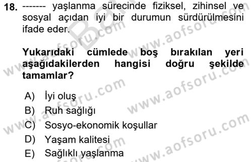 Aile Psikolojisi ve Eğitimi Dersi 2024 - 2025 Yılı (Final) Dönem Sonu Sınav Soruları 18. Soru