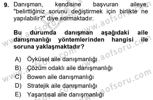 Aile Psikolojisi ve Eğitimi Dersi 2024 - 2025 Yılı (Final) Dönem Sonu Sınav Soruları 9. Soru