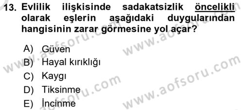 Aile Psikolojisi ve Eğitimi Dersi 2024 - 2025 Yılı Yaz Okulu Sınav Soruları 13. Soru