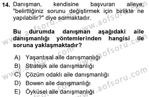 Aile Psikolojisi ve Eğitimi Dersi 2024 - 2025 Yılı Yaz Okulu Sınav Soruları 14. Soru