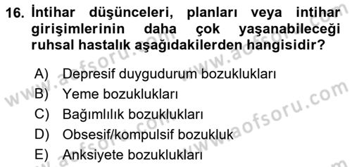 Aile Psikolojisi ve Eğitimi Dersi 2024 - 2025 Yılı Yaz Okulu Sınav Soruları 16. Soru