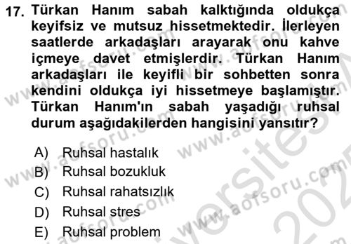 Aile Psikolojisi ve Eğitimi Dersi 2024 - 2025 Yılı Yaz Okulu Sınav Soruları 17. Soru