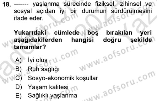 Aile Psikolojisi ve Eğitimi Dersi 2024 - 2025 Yılı Yaz Okulu Sınav Soruları 18. Soru
