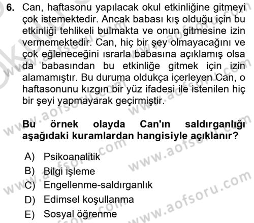 Aile Psikolojisi ve Eğitimi Dersi 2024 - 2025 Yılı Yaz Okulu Sınav Soruları 6. Soru