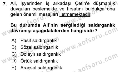 Aile Psikolojisi ve Eğitimi Dersi 2024 - 2025 Yılı Yaz Okulu Sınav Soruları 7. Soru