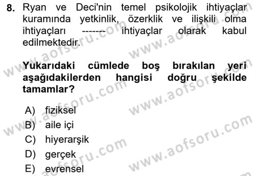 Aile Psikolojisi ve Eğitimi Dersi 2024 - 2025 Yılı Yaz Okulu Sınav Soruları 8. Soru