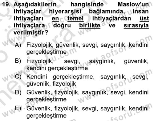 Aile Psikolojisi ve Eğitimi Dersi 2025 - 2026 Yılı (Vize) Ara Sınav Soruları 19. Soru