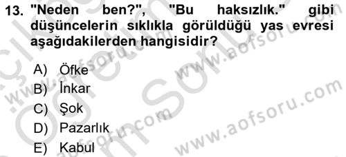 Aile Psikolojisi ve Eğitimi Dersi 2025 - 2026 Yılı (Final) Dönem Sonu Sınav Soruları 13. Soru