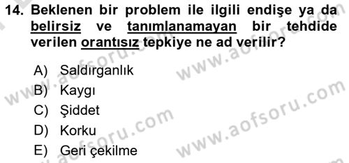 Aile Psikolojisi ve Eğitimi Dersi 2025 - 2026 Yılı (Final) Dönem Sonu Sınav Soruları 14. Soru