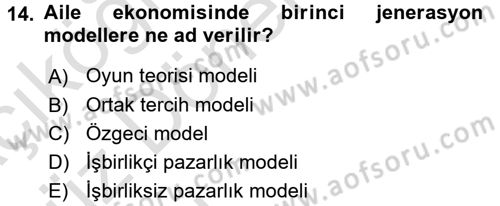 Aile Ekonomisi Dersi Ara Sınavı Deneme Sınav Soruları 14. Soru