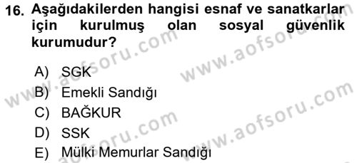 Aile Ekonomisi Dersi 2017 - 2018 Yılı 3 Ders Sınav Soruları 16. Soru