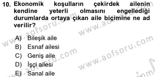Aile Ekonomisi Dersi Ara Sınavı Deneme Sınav Soruları 10. Soru