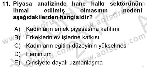 Aile Ekonomisi Dersi Ara Sınavı Deneme Sınav Soruları 11. Soru