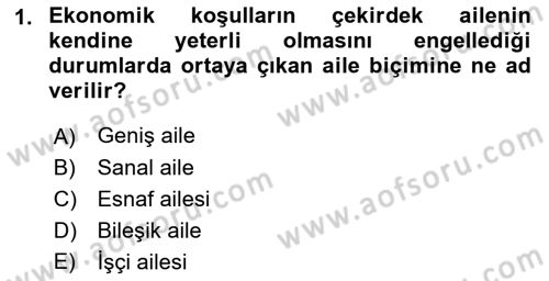 Aile Ekonomisi Dersi 2018 - 2019 Yılı 3 Ders Sınav Soruları 1. Soru