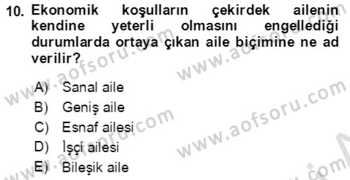 Aile Ekonomisi Dersi Ara Sınavı Deneme Sınav Soruları 10. Soru
