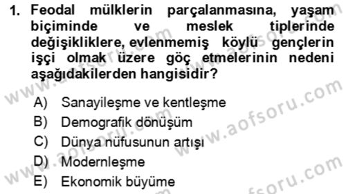 Aile Ekonomisi Dersi 2024 - 2025 Yılı (Vize) Ara Sınav Soruları 1. Soru