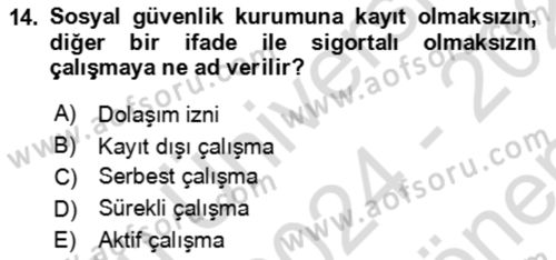 Aile Ekonomisi Dersi 2024 - 2025 Yılı (Final) Dönem Sonu Sınav Soruları 14. Soru
