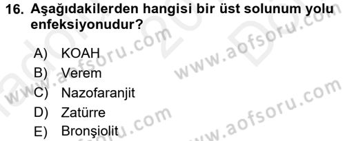 Aile Sağlığı Dersi 2017 - 2018 Yılı (Final) Dönem Sonu Sınav Soruları 16. Soru