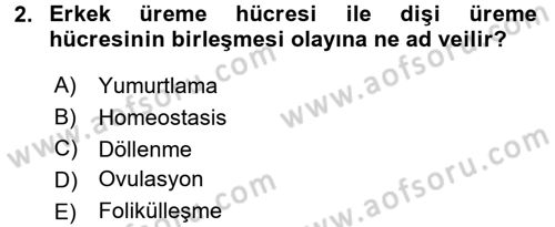 Aile Sağlığı Dersi 2017 - 2018 Yılı (Final) Dönem Sonu Sınav Soruları 2. Soru