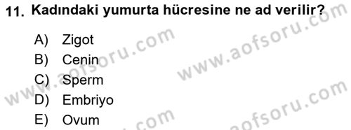Aile Sağlığı Dersi 2018 - 2019 Yılı (Vize) Ara Sınav Soruları 11. Soru