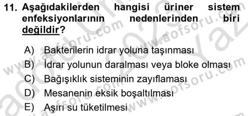 Aile Sağlığı Dersi 2023 - 2024 Yılı Yaz Okulu Sınavı 11. Soru