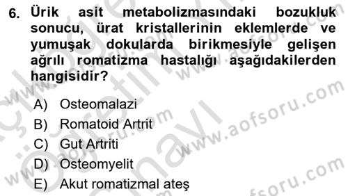 Aile Sağlığı Dersi 2023 - 2024 Yılı Yaz Okulu Sınavı 6. Soru