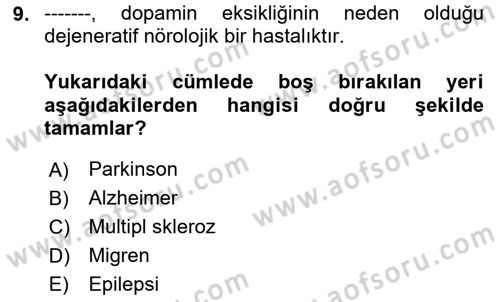 Aile Sağlığı Dersi 2023 - 2024 Yılı Yaz Okulu Sınavı 9. Soru