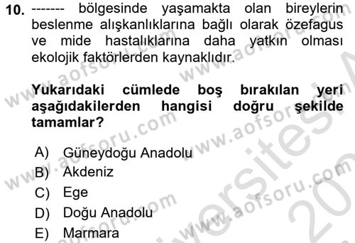 Aile Sağlığı Dersi 2024 - 2025 Yılı (Vize) Ara Sınav Soruları 10. Soru