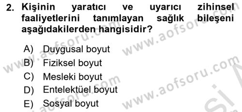 Aile Sağlığı Dersi 2024 - 2025 Yılı (Vize) Ara Sınav Soruları 2. Soru