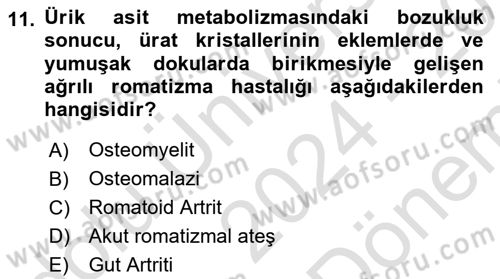 Aile Sağlığı Dersi 2024 - 2025 Yılı (Final) Dönem Sonu Sınav Soruları 11. Soru