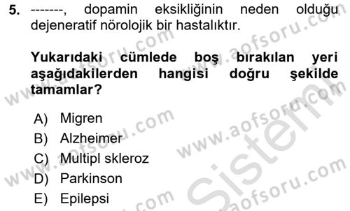 Aile Sağlığı Dersi 2025 - 2026 Yılı (Final) Dönem Sonu Sınav Soruları 5. Soru