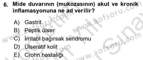 Aile Sağlığı Dersi 2025 - 2026 Yılı (Final) Dönem Sonu Sınav Soruları 6. Soru