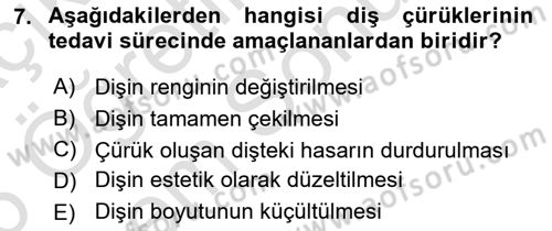 Aile Sağlığı Dersi 2025 - 2026 Yılı (Final) Dönem Sonu Sınav Soruları 7. Soru