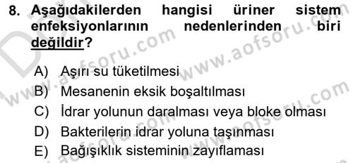 Aile Sağlığı Dersi 2025 - 2026 Yılı (Final) Dönem Sonu Sınav Soruları 8. Soru