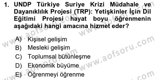 Dijital Ailede Öğrenme Ve Farkındalık Dersi 2024 - 2025 Yılı (Vize) Ara Sınav Soruları 1. Soru