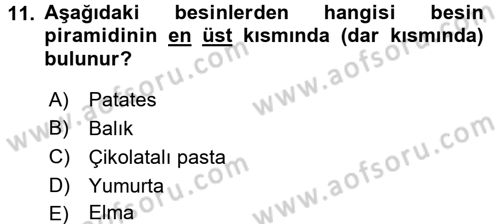 Sağlıklı Yaşam Dersi 2016 - 2017 Yılı 3 Ders Sınav Soruları 11. Soru