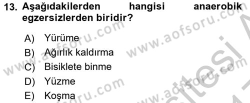 Sağlıklı Yaşam Dersi 2016 - 2017 Yılı 3 Ders Sınav Soruları 13. Soru