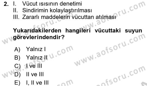 Sağlıklı Yaşam Dersi 2016 - 2017 Yılı (Vize) Ara Sınav Soruları 2. Soru