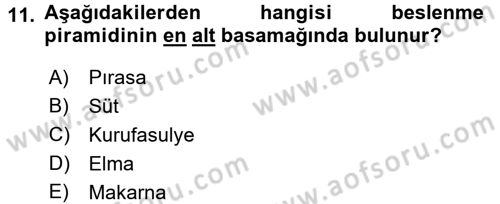 Sağlıklı Yaşam Dersi 2016 - 2017 Yılı (Final) Dönem Sonu Sınav Soruları 11. Soru