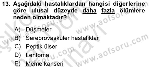 Sağlıklı Yaşam Dersi 2016 - 2017 Yılı (Final) Dönem Sonu Sınav Soruları 13. Soru
