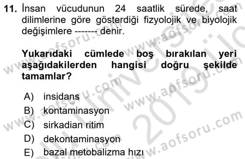 Sağlıklı Yaşam Dersi 2018 - 2019 Yılı 3 Ders Sınavı 11. Soru