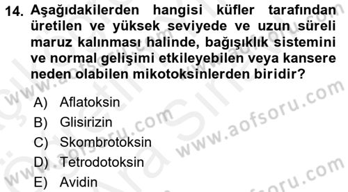 Sağlıklı Yaşam Dersi 2018 - 2019 Yılı (Vize) Ara Sınav Soruları 14. Soru