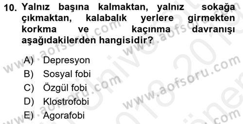 Sağlıklı Yaşam Dersi 2018 - 2019 Yılı (Final) Dönem Sonu Sınav Soruları 10. Soru